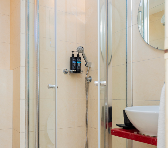 Hotel Basel Shower Room